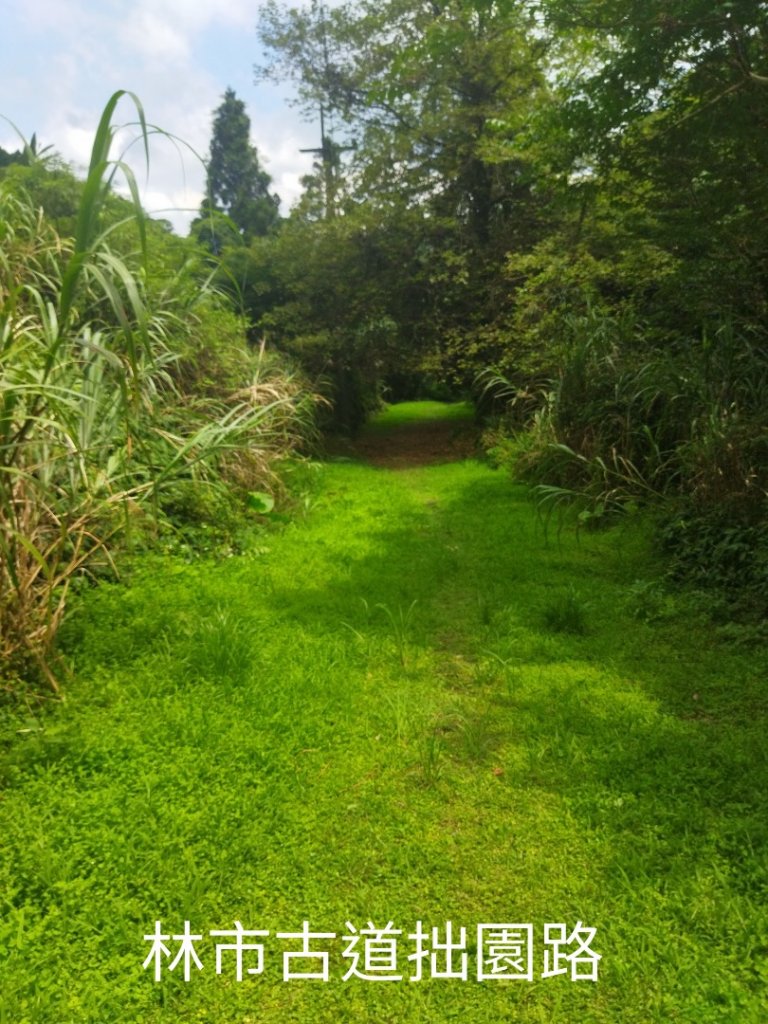 富士坪古道 - 林市古道 - 瑞泉古道O行訪大尖茶行遺址_1748611