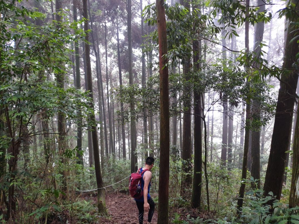 嶺頭山-金柑樹山-忘憂森林，O型縱走_1000803