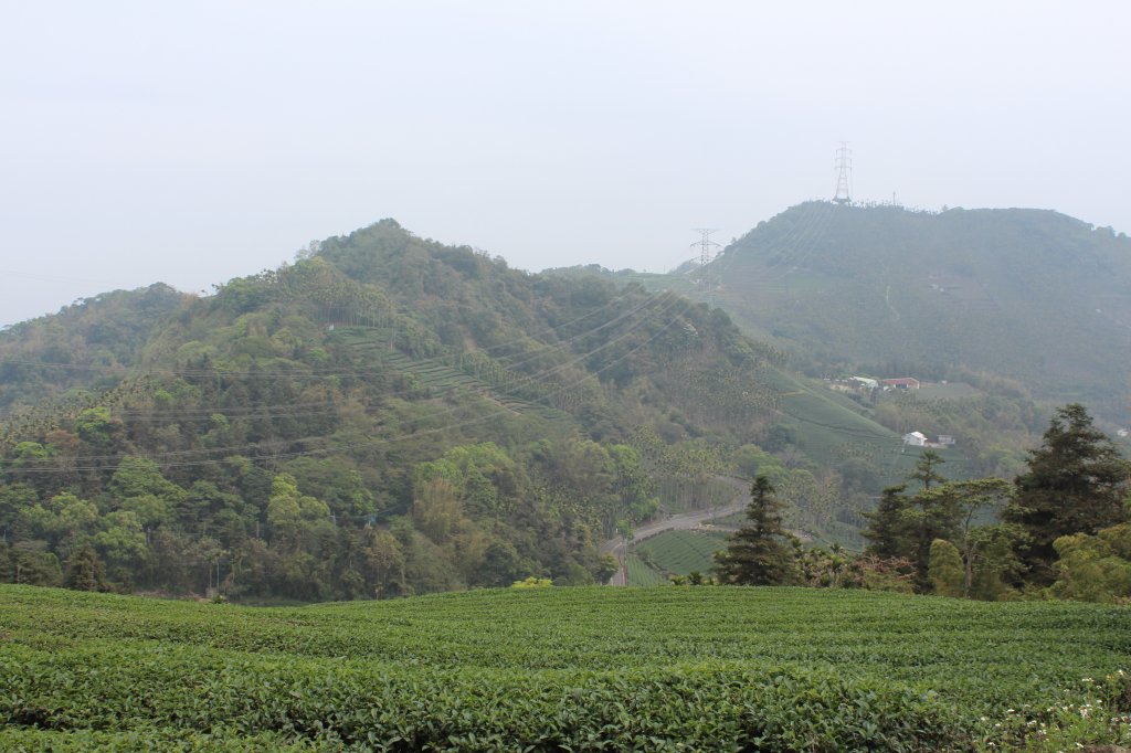 20210417雲林後棟仔山大尖二尖山_1358847