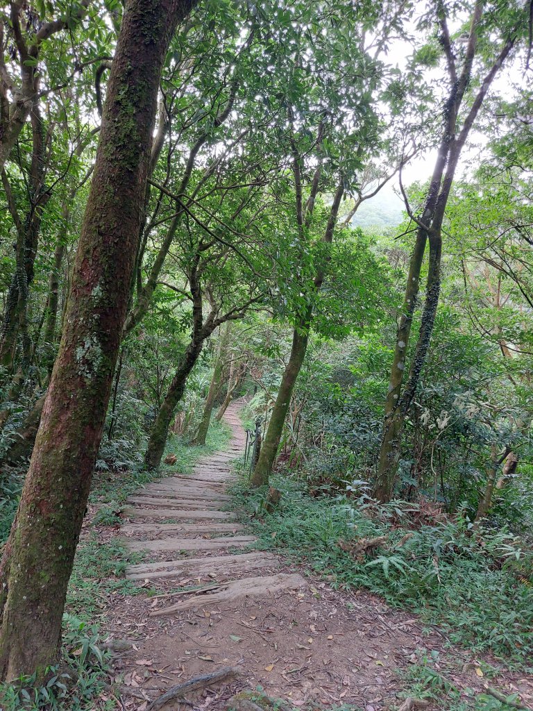 北宜三座小百岳(獅仔頭山、二格山、鵲子山)+鱷魚島20220820_1816044