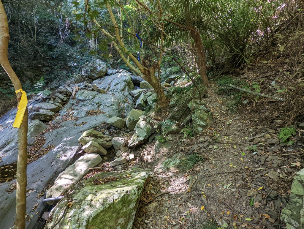 女仍山(小百岳#79)_1636585