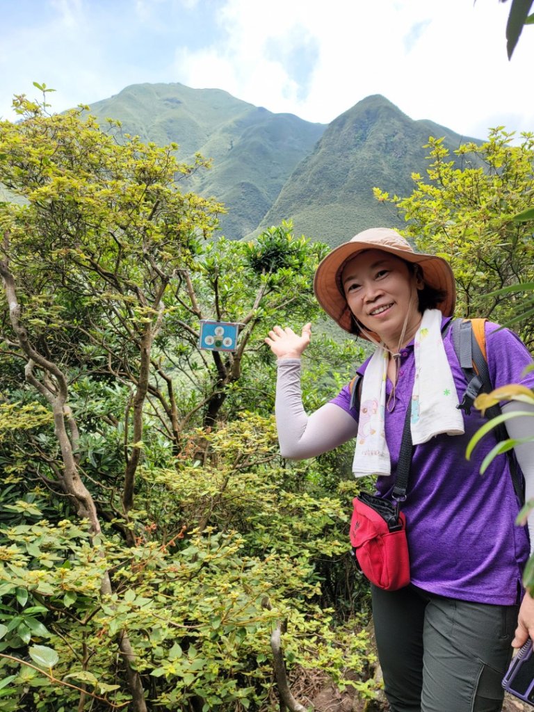 大屯溪古道清涼行-20240714_2601000