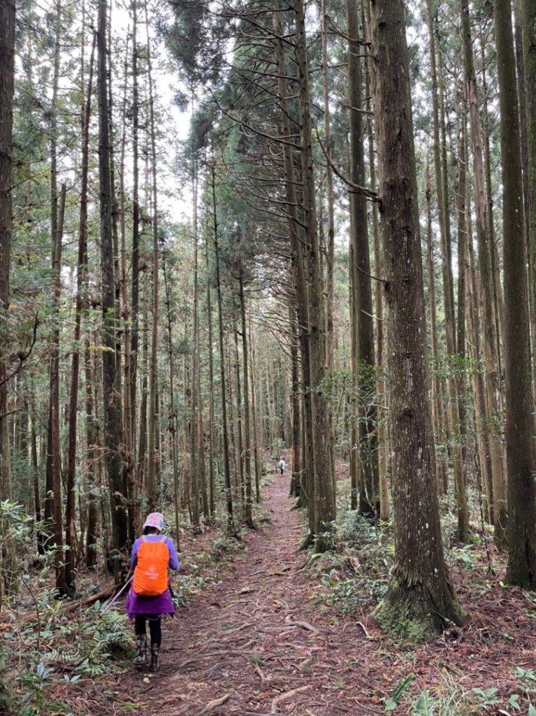 高島縱走20211023_1617908