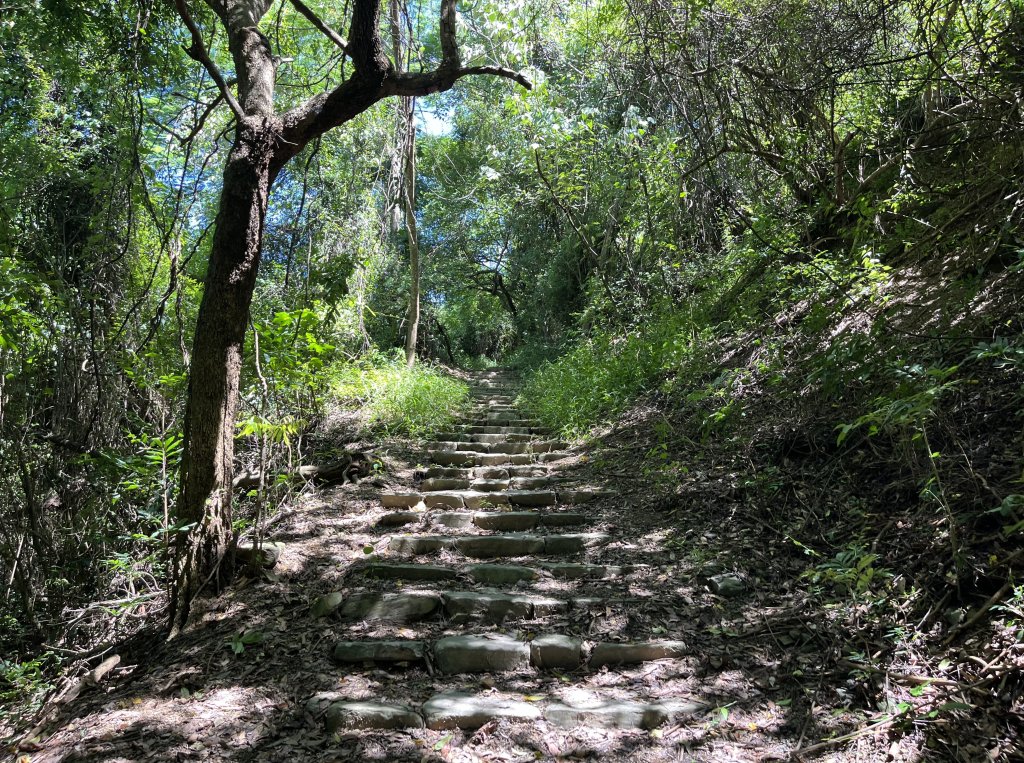 [屏步青雲 尋寶任務-04/10] 2024_0917 浸水營步道（前段）_2597906