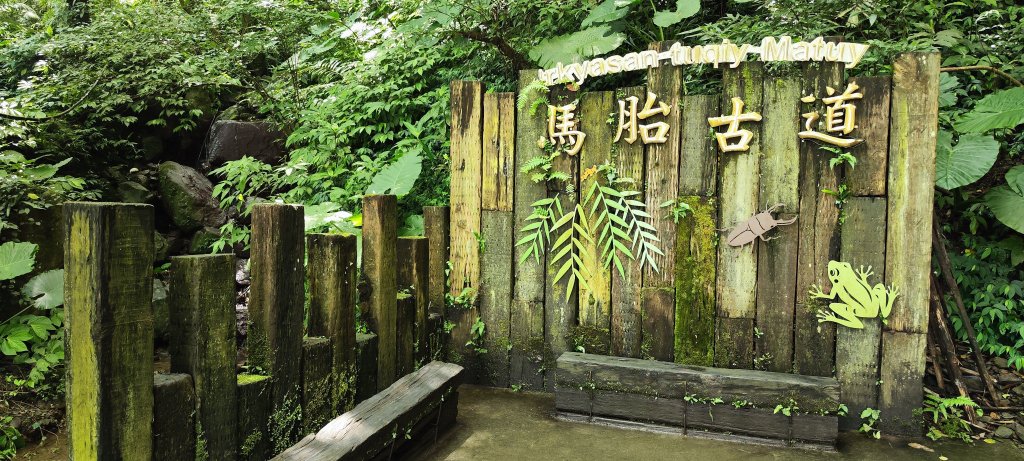 新竹內灣．馬胎古道20250621封面圖