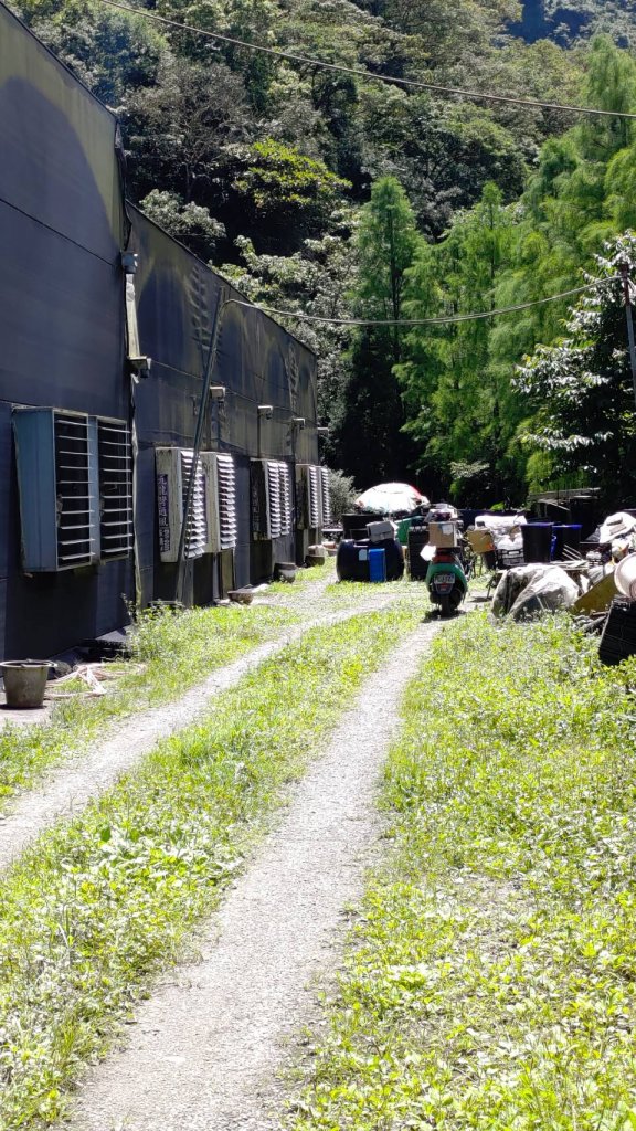 亞麻灣山(蘭花園)-->日湯真山-->鱈葉根山岔路口 (萬安古道)封面圖