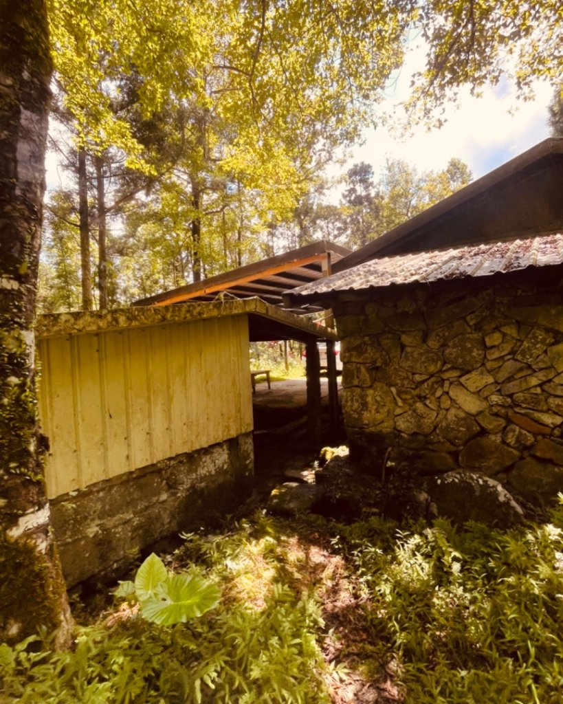 坪林-碧湖溪-蛋糕瀑布群（溯溪）_2820882