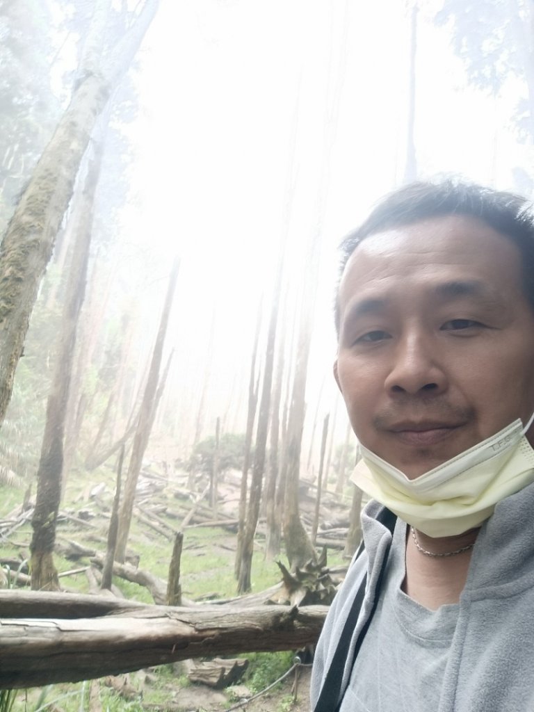 鳳凰南嶺線步道(溪頭至杉林溪縱走)_2150711