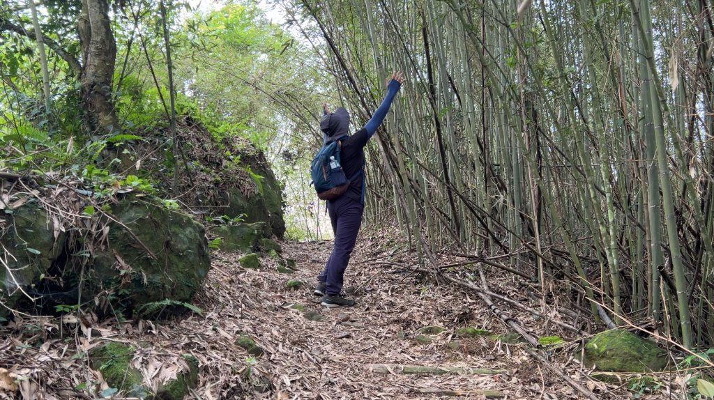 馬那邦山_2597586