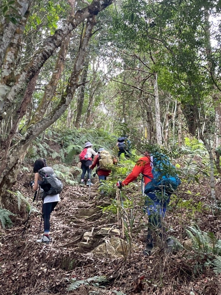 阿冷山 谷關第八雄_2877416