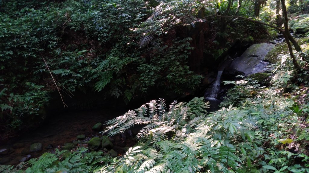 三貂嶺越嶺猴硐_1030139