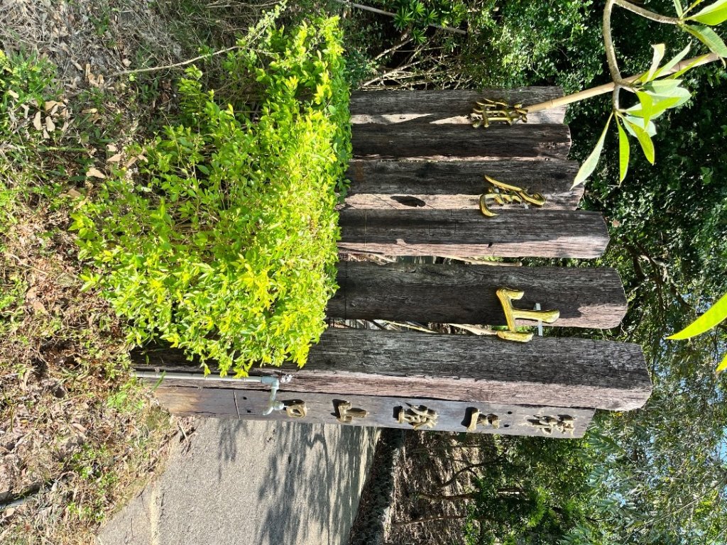 20251101_旗尾山（高雄小百岳）封面圖