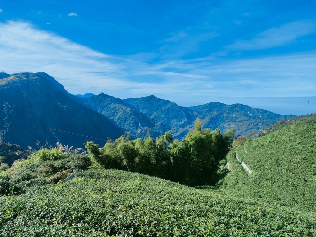 1101127 溪頭九連峰_1528523