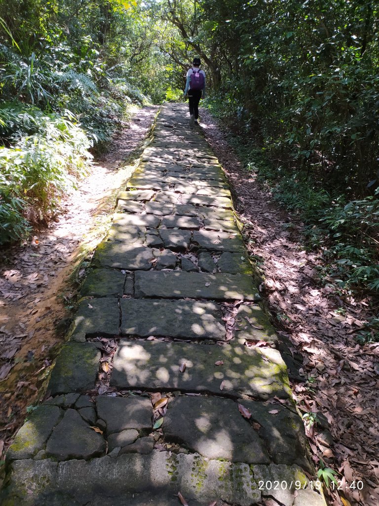 翠山步道+碧溪步道+大崙頭尾山步道環狀線_1105873