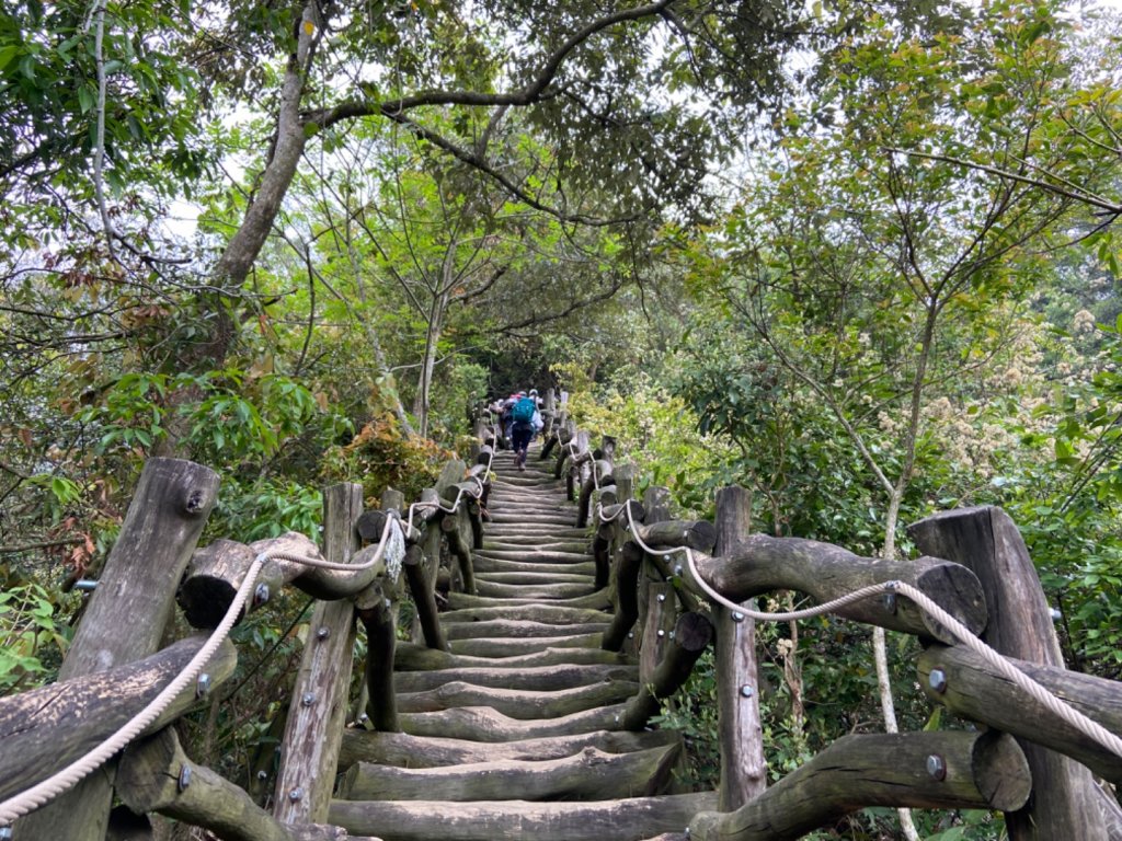 大坑2號原路來回_2130440