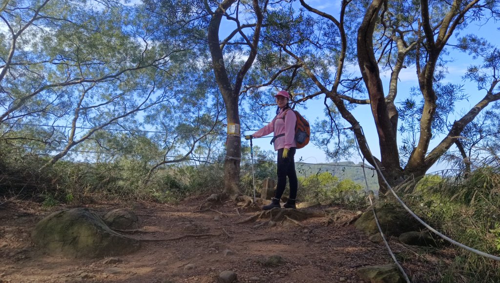 (姨婆趴趴走)第四十五集:新竹竹東三山（新具庄山、樹杞林山、員崠子山）環狀縱走_2662314