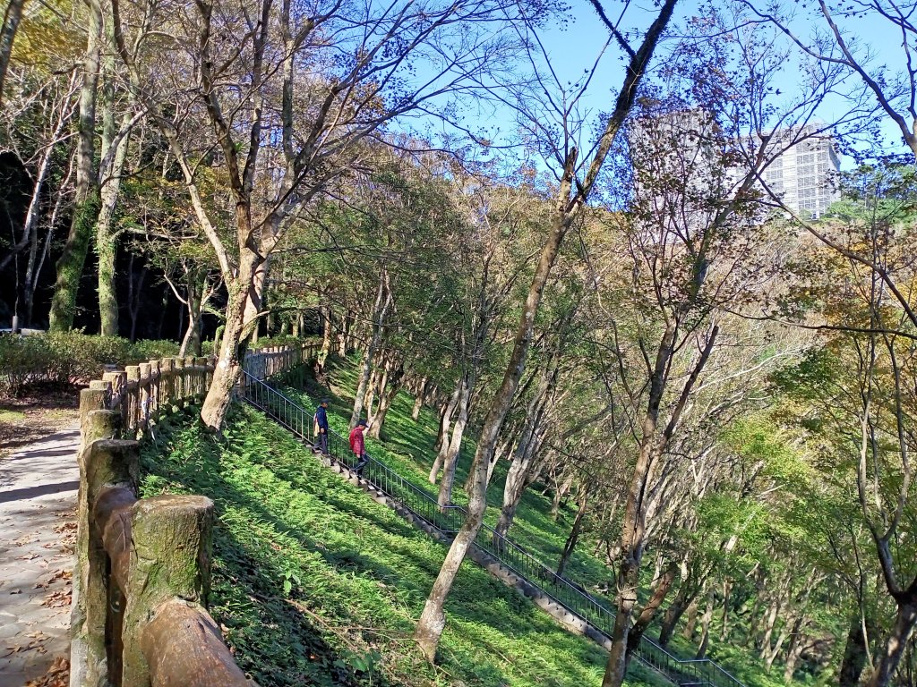 桃園大溪石門水庫楓林步道、齋明寺古道【南山神壽任務】_1963958