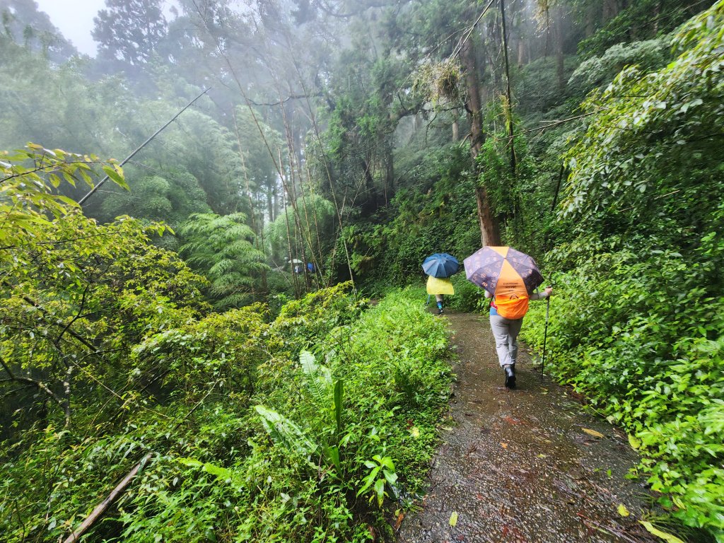 20250719頂湖上大凍山_2907128
