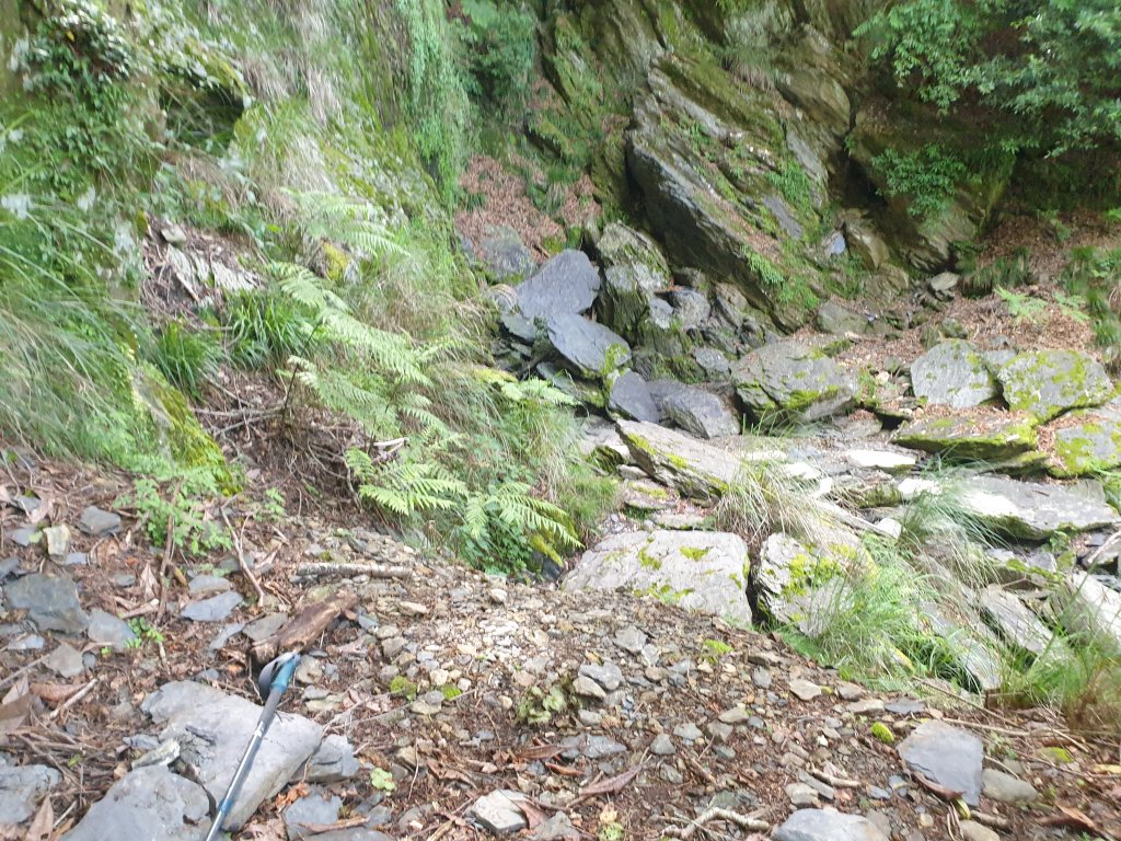 20220619結城山_1754872