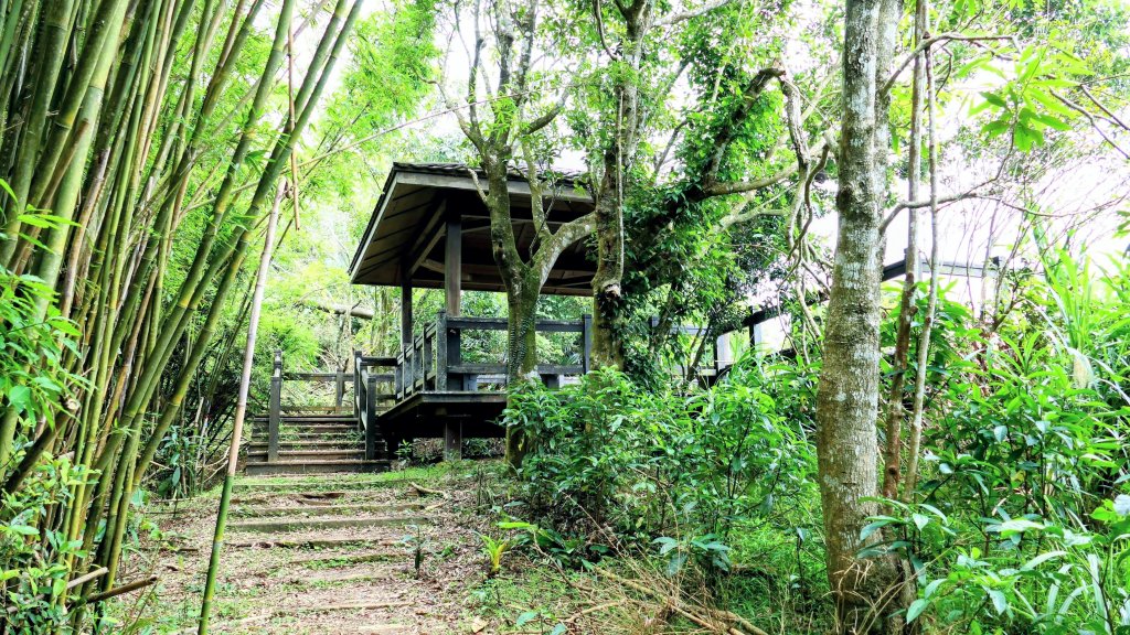 向北的龜溪縱走。評耶哀封面圖