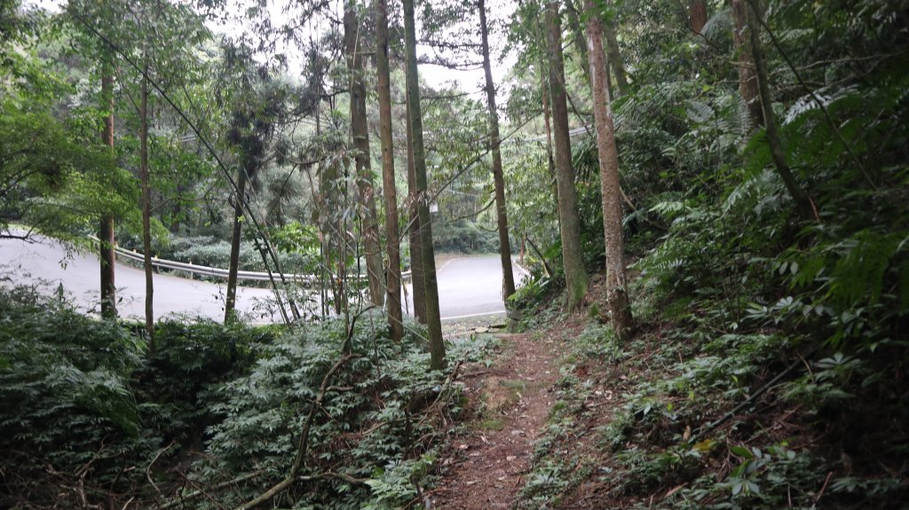 獵貍尖步道連走烏塗溪步道登山健行趣(淡蘭南路TK3-6&TK3-5&TK3-4)_2404492