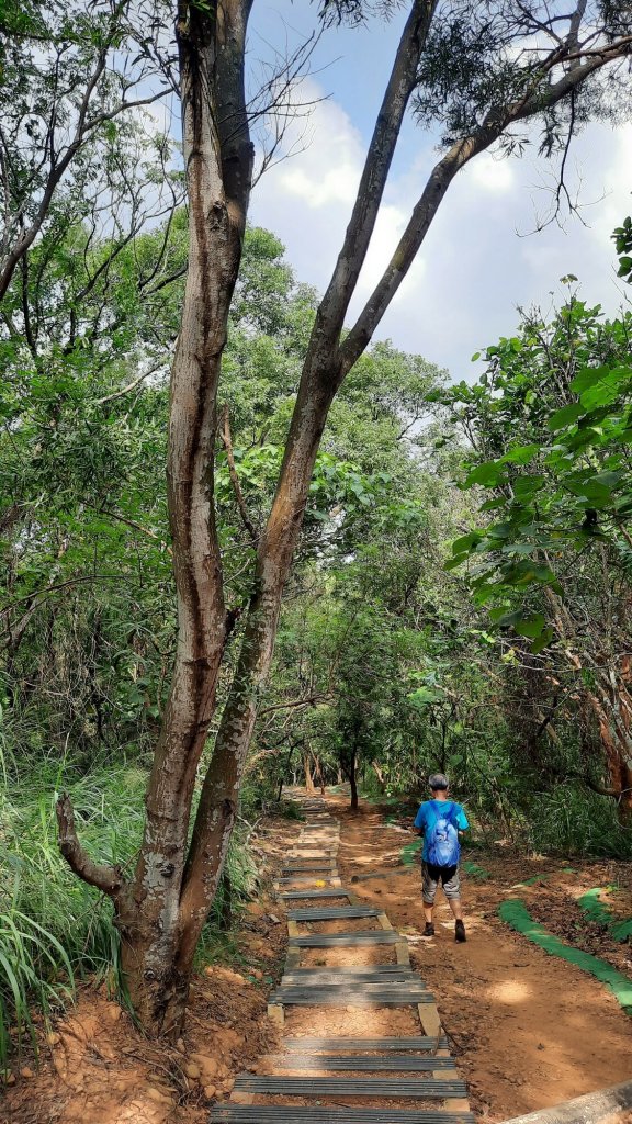 《台中》綠色隧道｜大肚環保公園登山步道O型20211016_1490186
