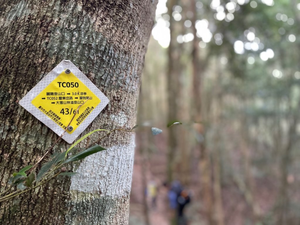 谷關七雄｜一日東屋縱走_2923938