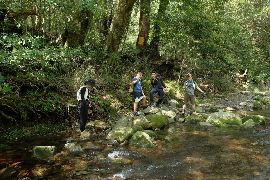 苗栗南庄鄉 二訪加里山 ‧ 2025春 哈加封面圖