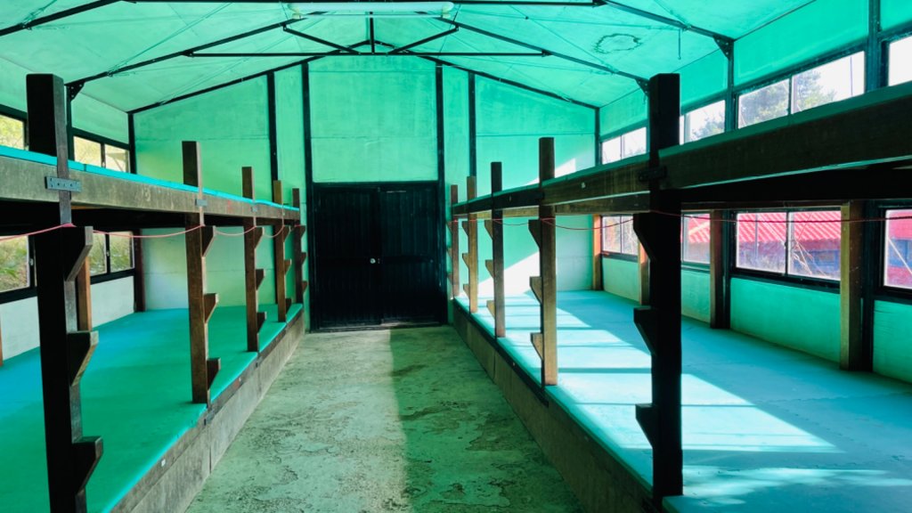 1110703-5大小霸尖山06雪霸農場_1755011