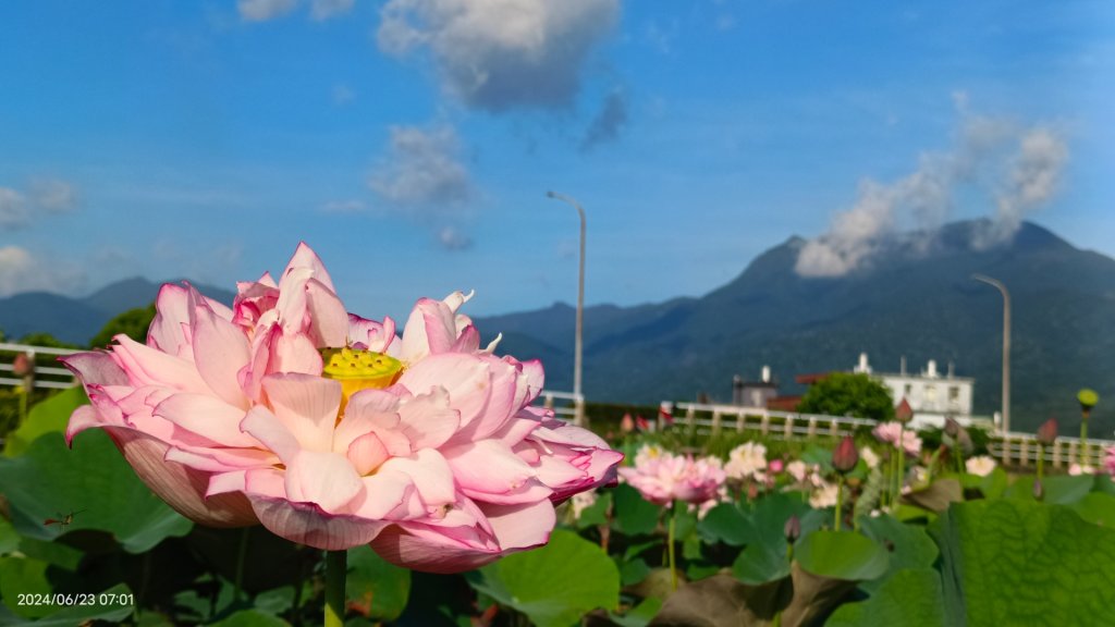 天龍國阿伯的日常-雲山水花鳥蝶 6/23_2532525