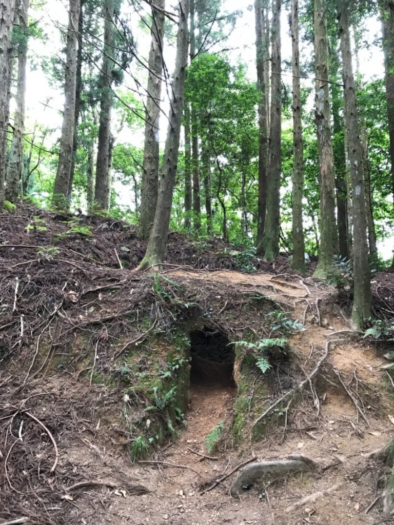 油羅山一日遊_1018472