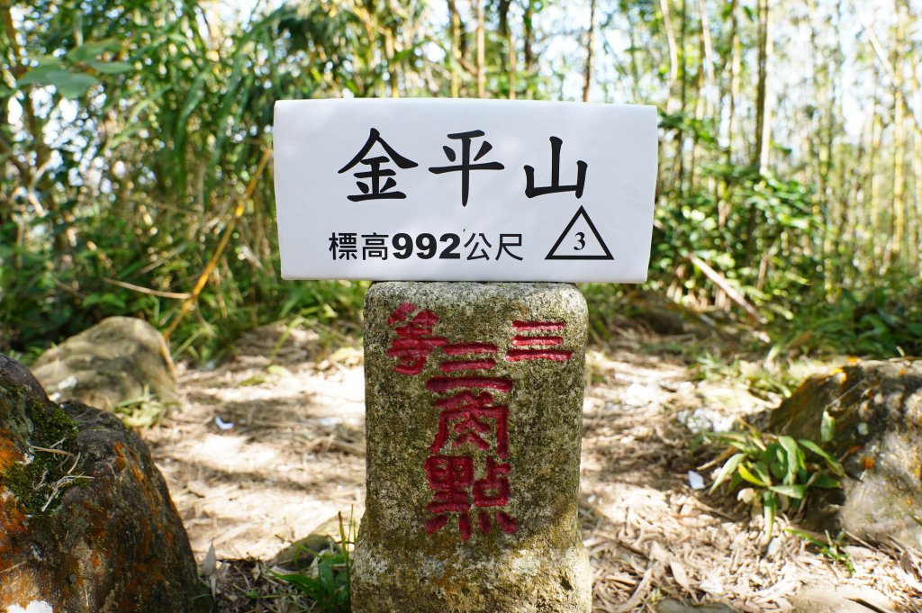 新北 三峽 內詩朗山、金平山_2950952