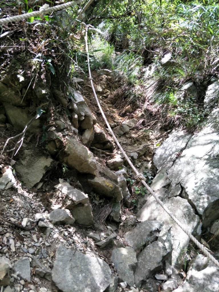 谷關七雄：屋東縱走-屋我尾山-麗陽上_1492003