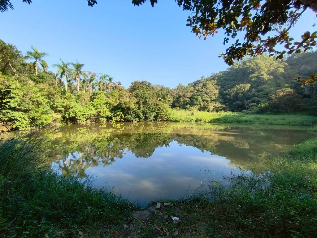 20251213 高雄觀音山15連峰🤔一直走不回頭繞_2961548