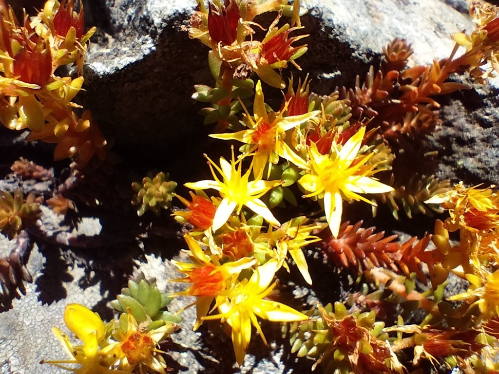 20250825_南玉山_2880495