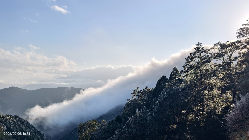 #霧淞 #雲海 #雲瀑 #霧虹 #太平山 #望洋山 #觀雲步道 #翠峰道路  2/8_2995284