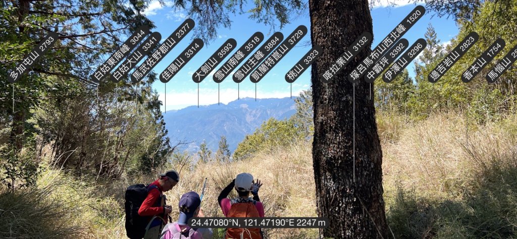 大同加羅湖穆魯洛亞滬庫霞四季警備道_2748275