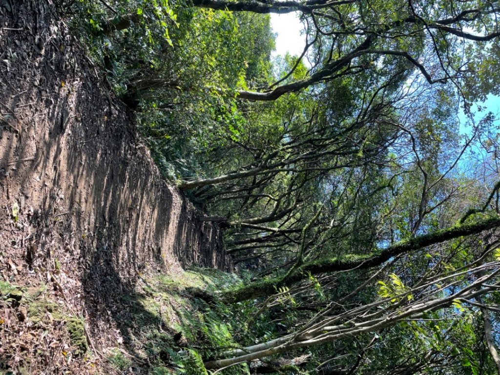 360度環景的姜子寮山_2034210