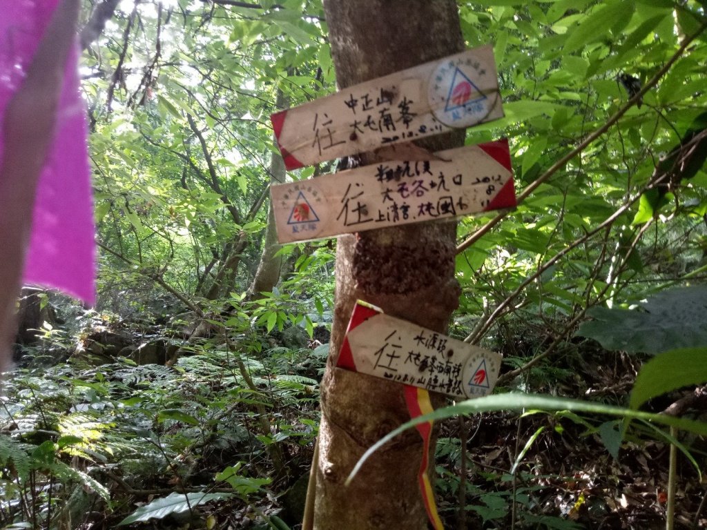 大屯谷秘境~大屯南峰~竹子湖_449171