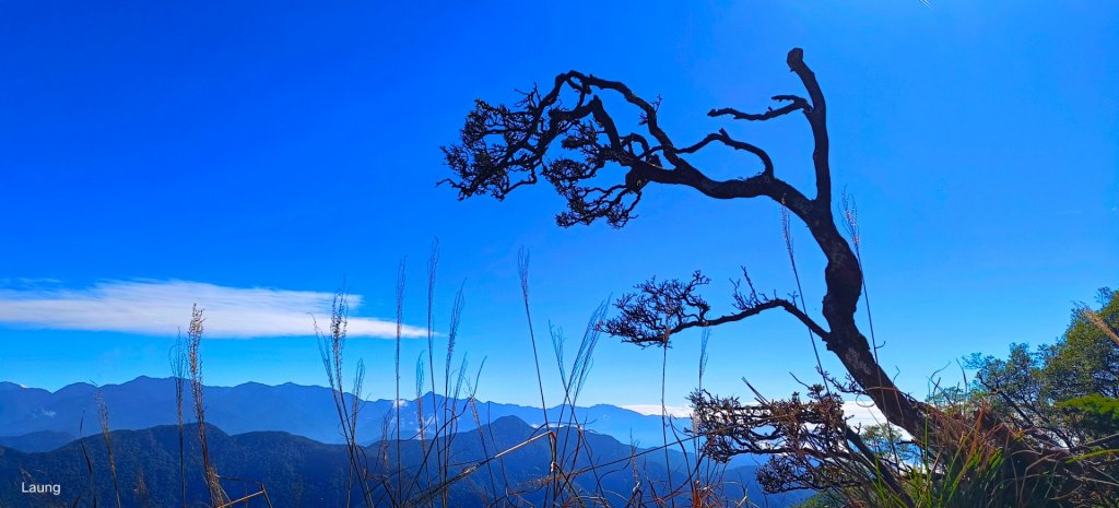111.12.18 虎山-加里山-虎山（虎加虎縱走）_1959034