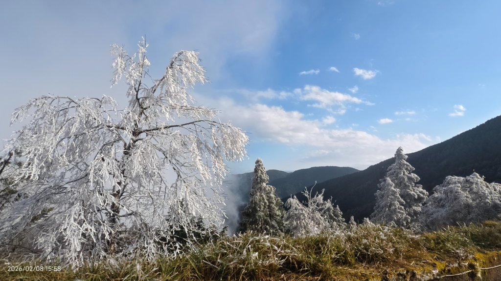 #霧淞 #雲海 #雲瀑 #霧虹 #太平山 #望洋山 #觀雲步道 #翠峰道路  2/8_2995276