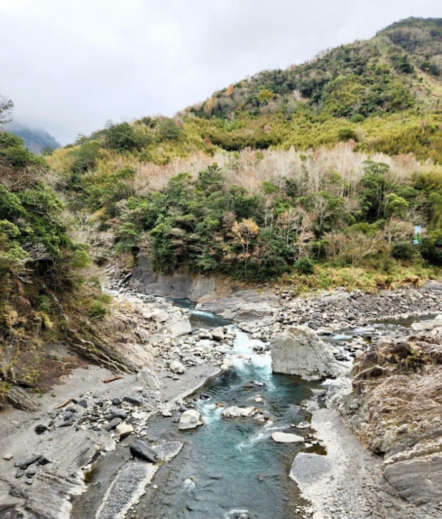 【中級山】芝生毛台山，芝生毛台山西峰，秀巒軍艦岩，屯野生步道，屯野生砲台_2745100