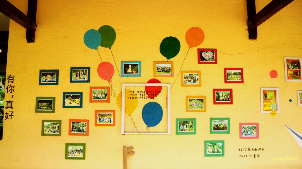 樟之細路~走一條有溫度的步道_690888