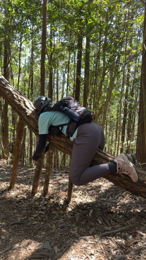 八仙佳保_2746075