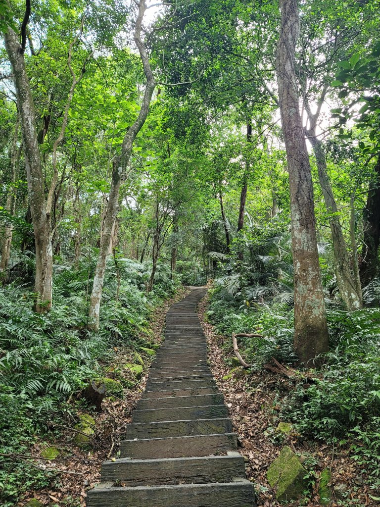 台北大縱走第6~第7段_2244456