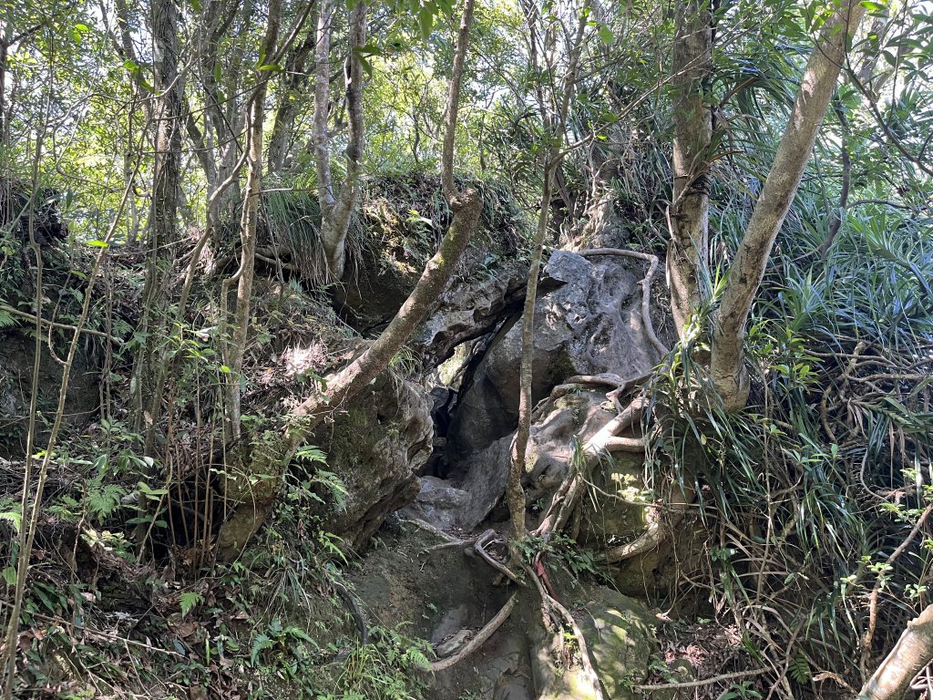 [微笑山線_第九段] 2025_0914 二格山系_天王峰_2889542