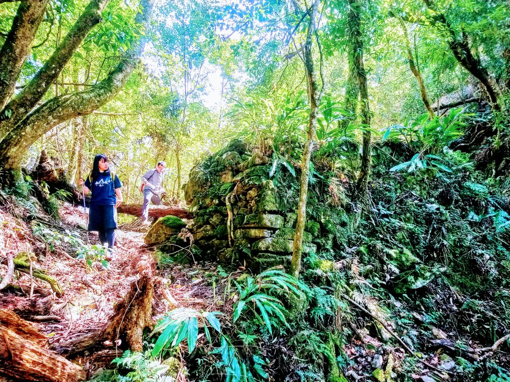 新竹天際線 比(南)比大鳥_881873