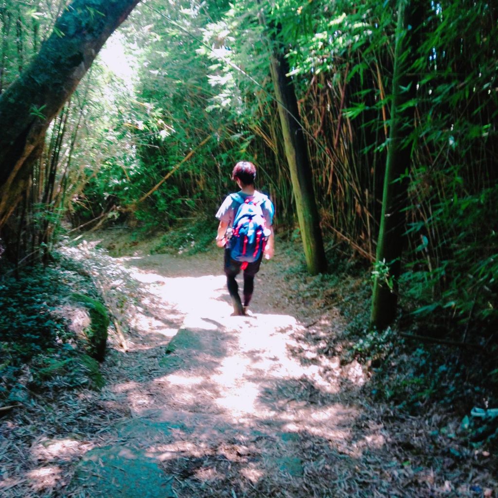 二子坪-大屯西南_376982