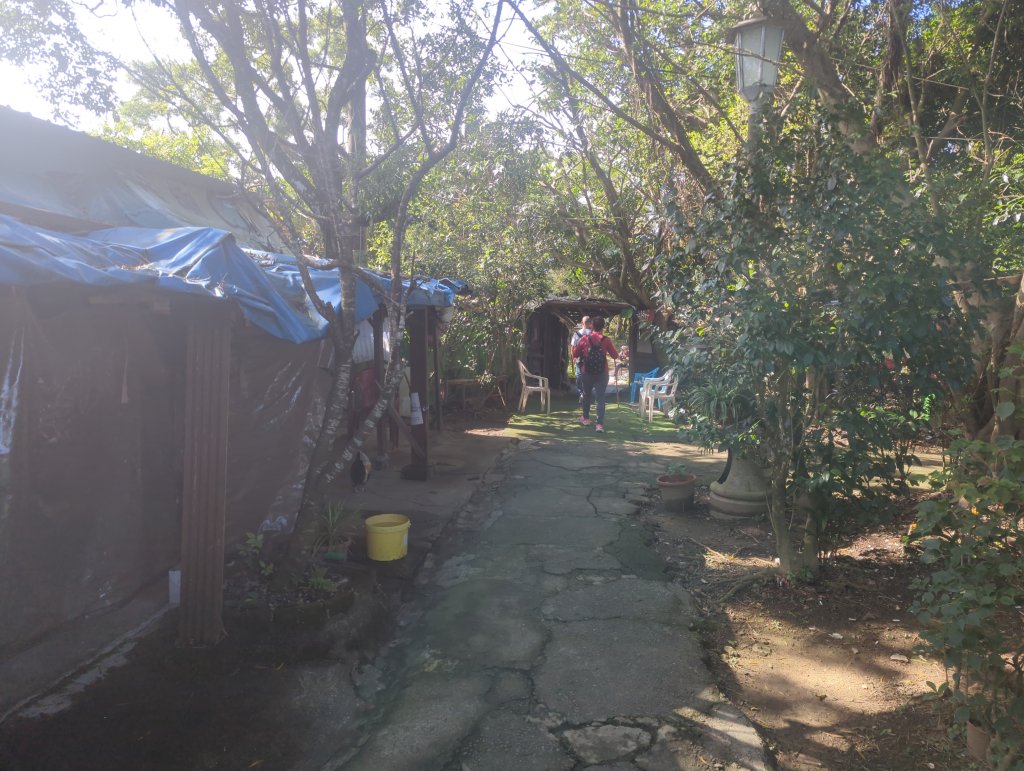 2026.01.25－微笑山線：【天上山系】烘爐地土地公段_2994579