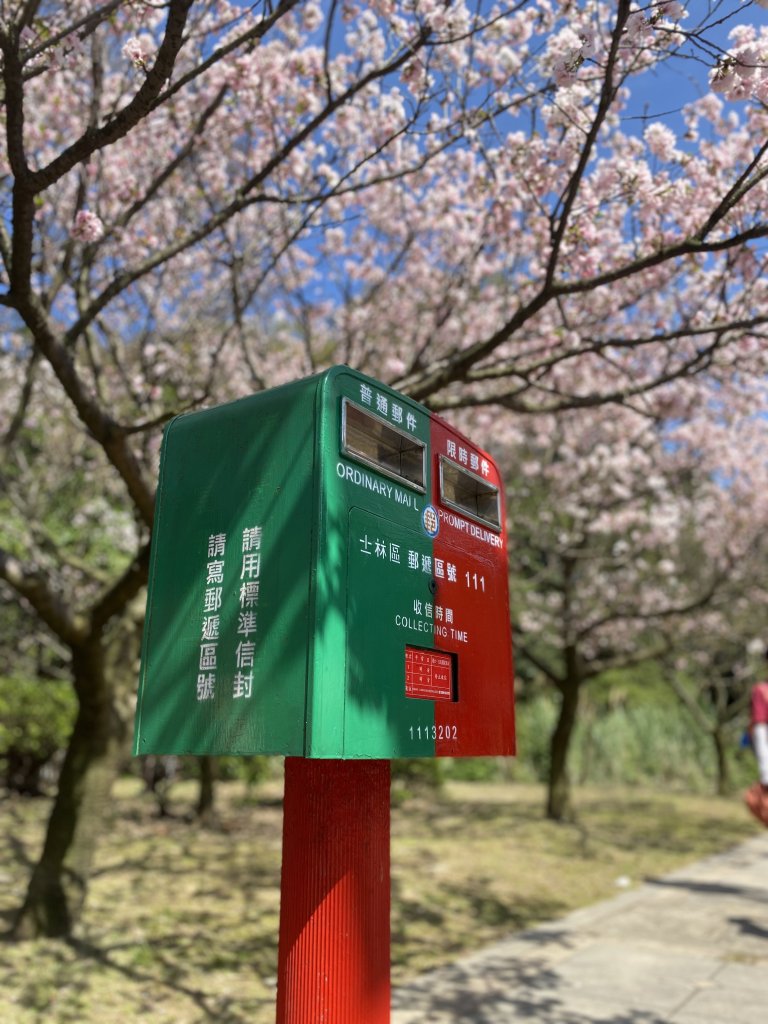 如墨暈染的春日邂逅｜中山樓墨染櫻 × 北投步道探花記_2853918
